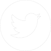 twitter-icon